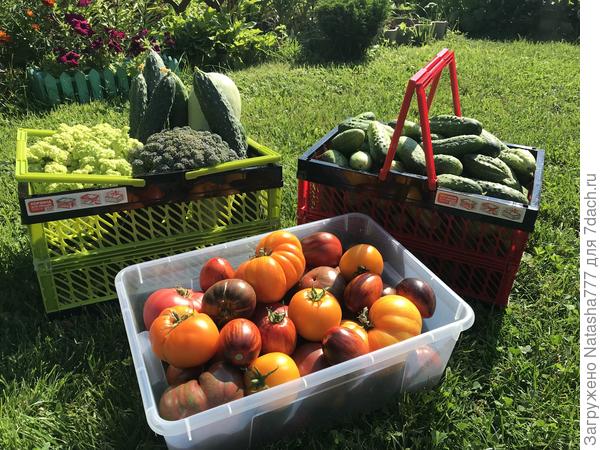 так началось замечательно утро