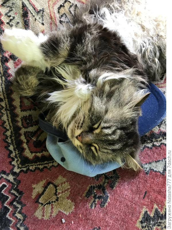 Под головкой бейсболочка))