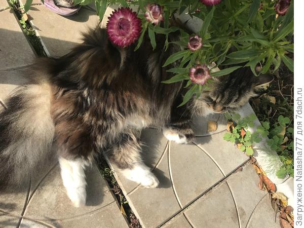 Не хочется съезжать с дачки