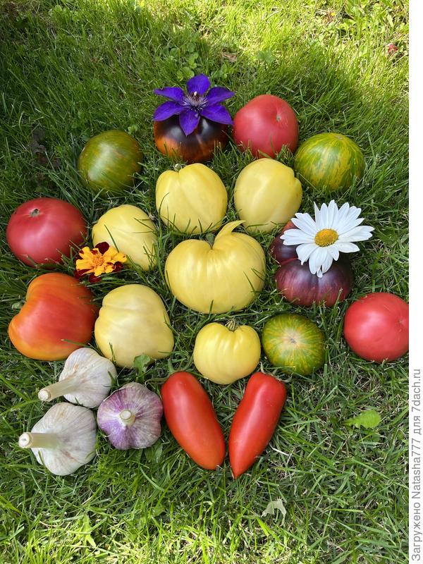 В центре томат-яблоко))