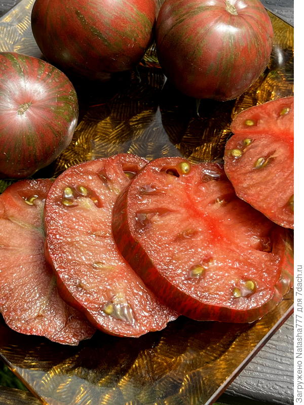 Гном Стринги