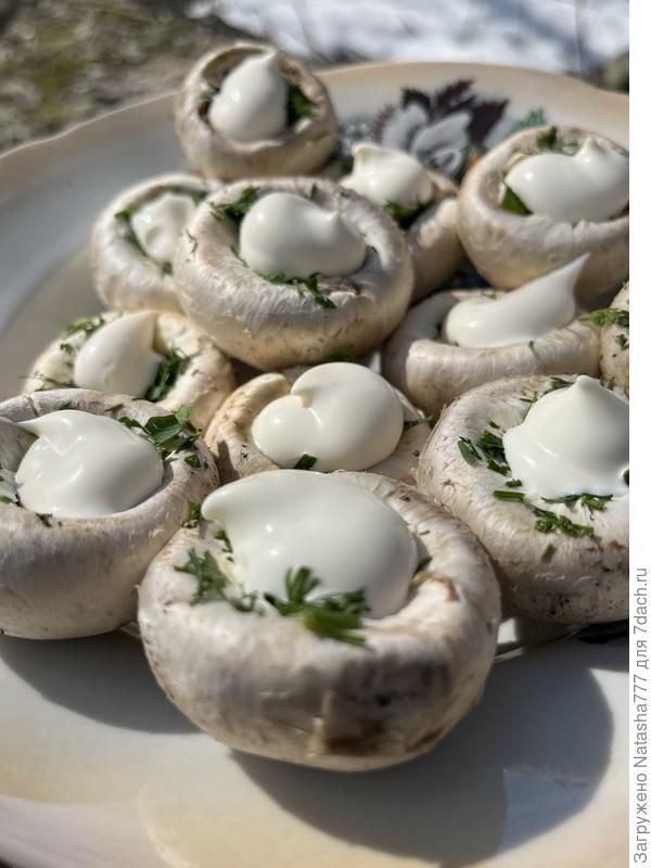 грибочки