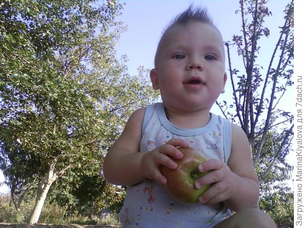 Андрюша 6 месяцев