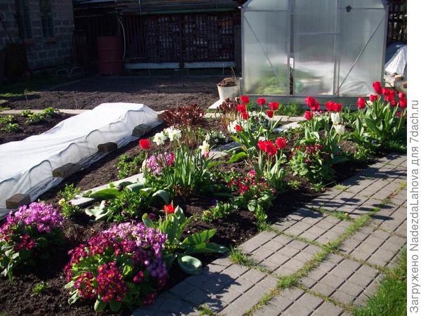 клумба с розами которых пока еще не видно - апрель-