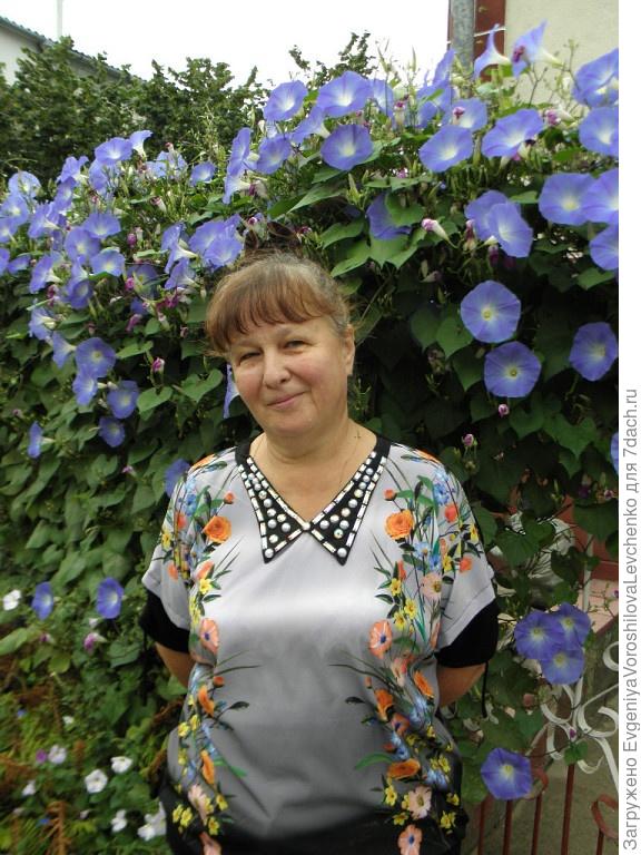 такая красота была прошлым летом (на фото моя соседка на фоне моих ипомей)