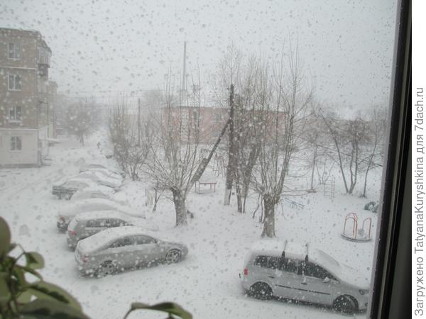 погода в конце апреля 25.04.14г.