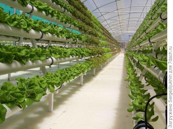 система гидропоники