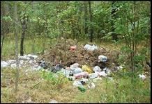свалка мусора в лесу