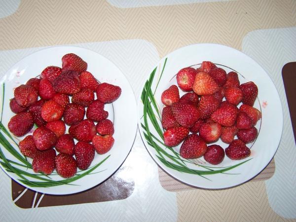 Клубничка для внучат