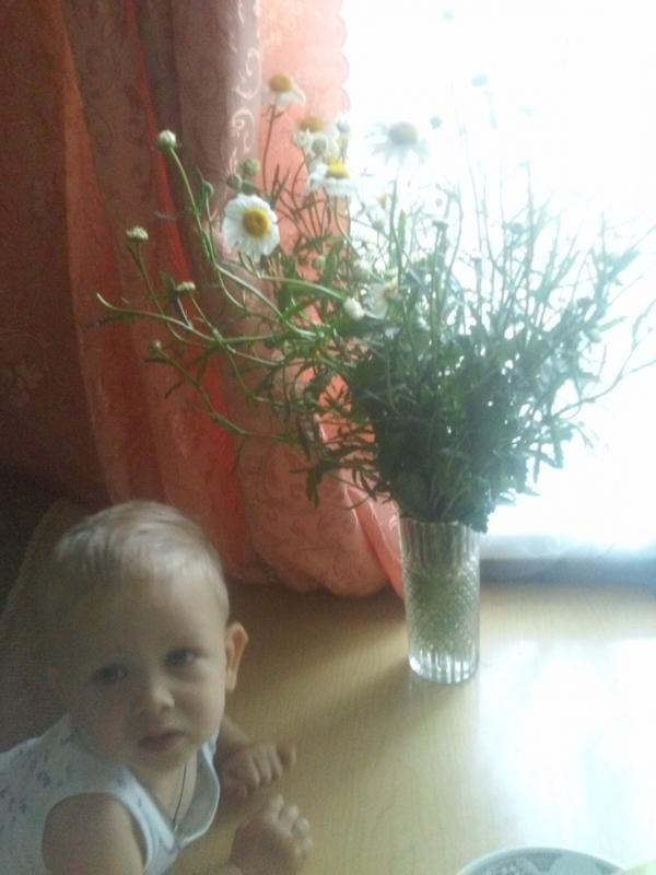 Присматриваем ромашки для гаданий