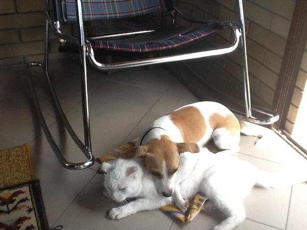 Ляпота! Вот бы весь год на даче жить!