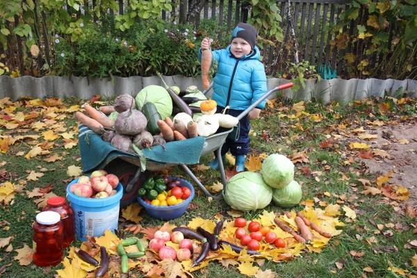 Денис на даче