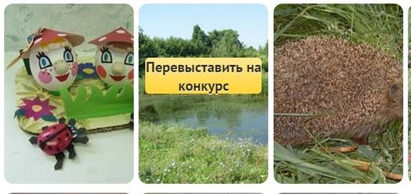 Кнопка "Перевыставить фотографию"