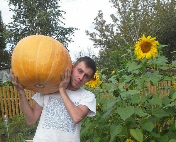 Первый урожай