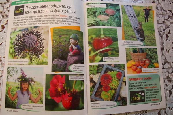 Дом в саду
