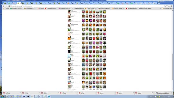 11 этап. Перед проверкой