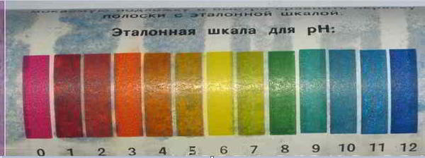Эталонная шкала рН