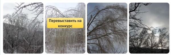 Перевыставить