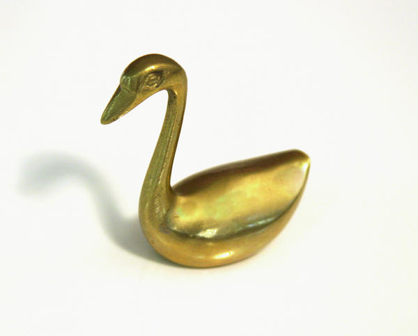 Символ дня: золотой лебедь