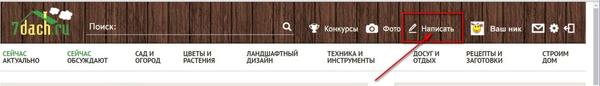 Выбрать кнопку "Написать"