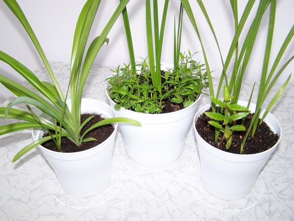 Повернула фото вправо. Опубликовала, фото повернуто вправо. Шаг 2. Редактирую. Возвратила фото по стрелке назад. Сохранила.