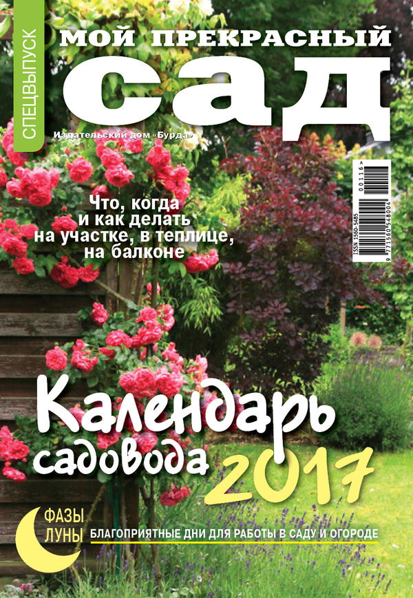 Выбор №2