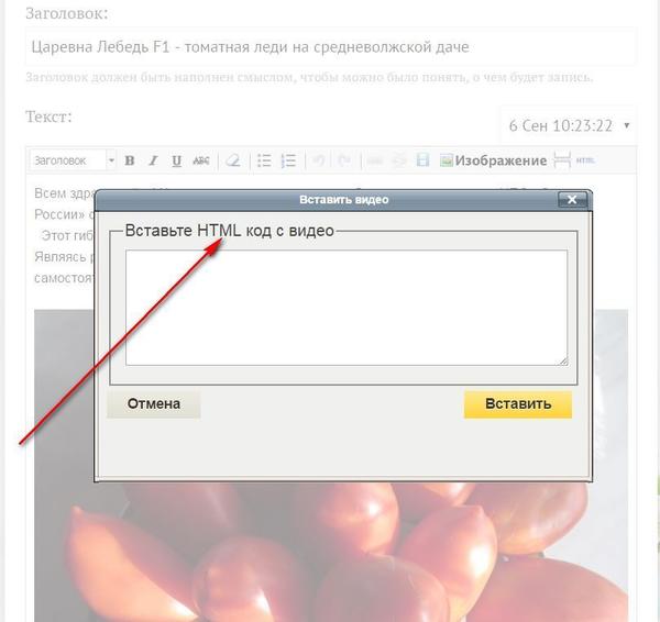 И вставляете HTML код своего видео?