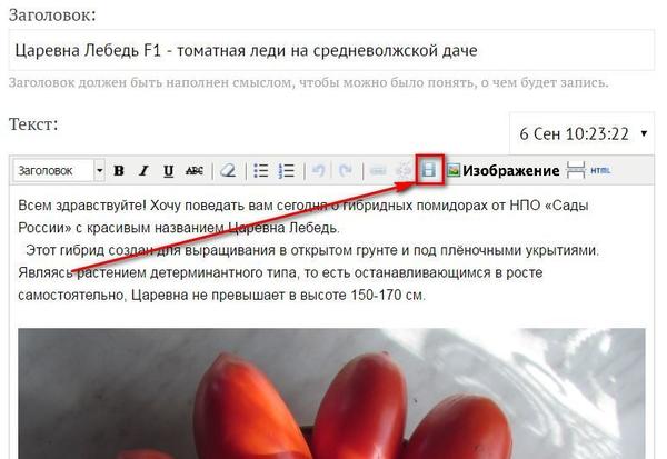 Нажимаете кнопку Вставить видео?