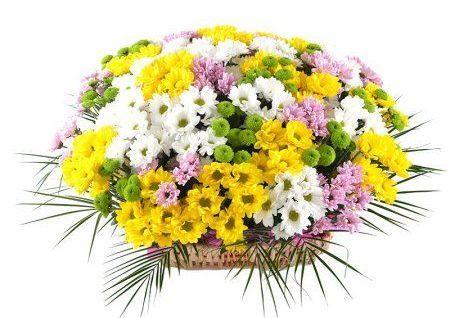 Поздравляю!