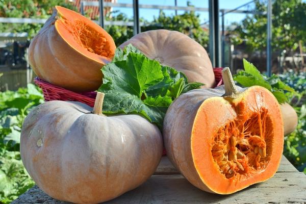 Вкусный разрез))