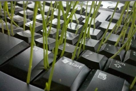 Пусть Семидачное поле даст невиданный урожай!