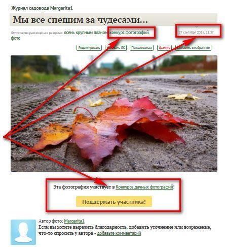 Фото, поступившее на 19 этап. Дата - 27.09, есть тег "конкурс фотографий", фото - участвует в этапе