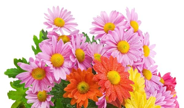 Людмила, спасибо вам преогромное за коллаж! Он просто супер! Хех, и я рядом с победителями купаюсь в лучах их славы))) Ах-ха-хах!!! Гляньте в сам пост-Поздравление, нравится решение?????? За идею Оле (MaxNokia) - тысяча чмоков))