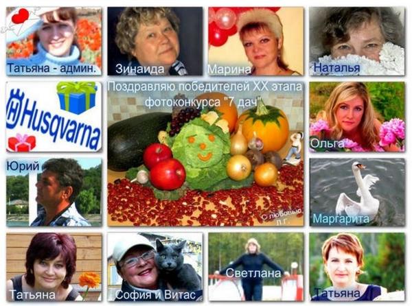Семидачная Доска Почета победителей))