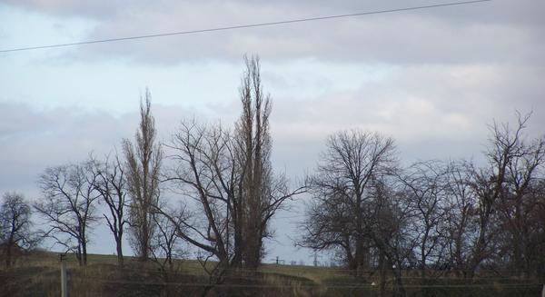 А это практически за городом, там рядом городские огородные участки. Час назад))