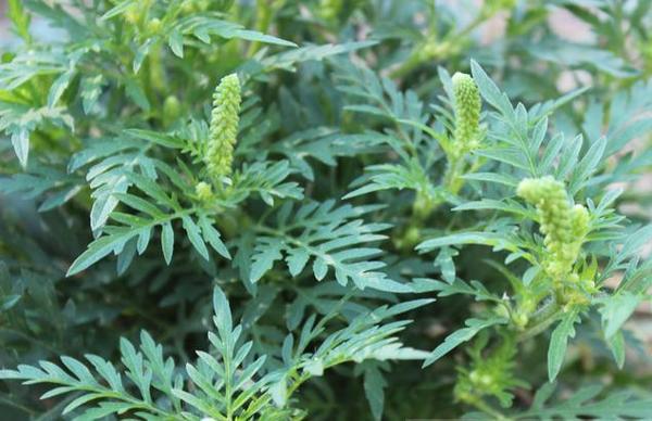 Автор фото: Оксана Дементьева