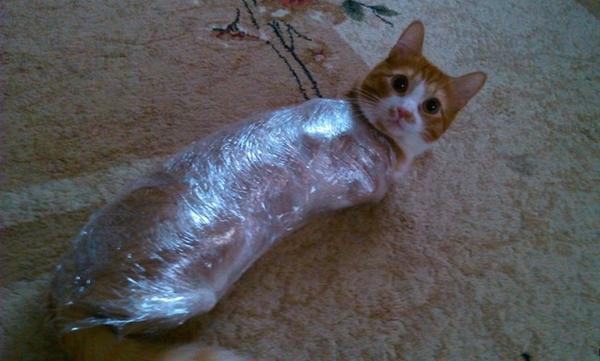 Нейтрализовать котэ...