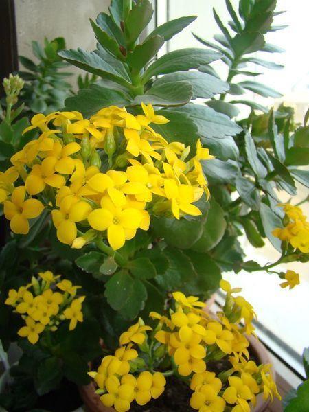 ппппппппппппппппппппппппппппппп