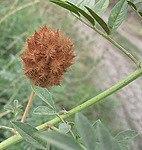 аааааааааааааааа