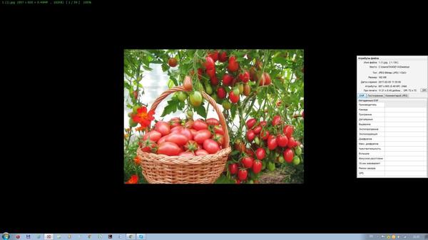 А вот фото вора - того самого otomatah.ru, обратите внимание - нет ни одного упоминания, каким фотоаппаратом снято, когда, была ли вспышка и много-много другого. Инициалы затерты, это видно))