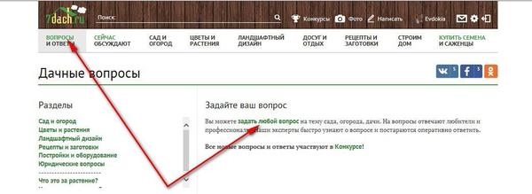 И тогда все сразу его увидят. А в комментариях, да, могли просто пропустить....