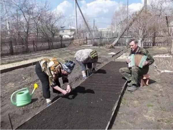Без частушек жизнь печальна