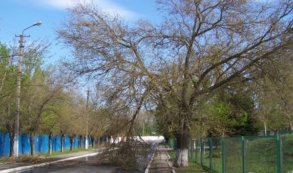Прогулка после снегопада...