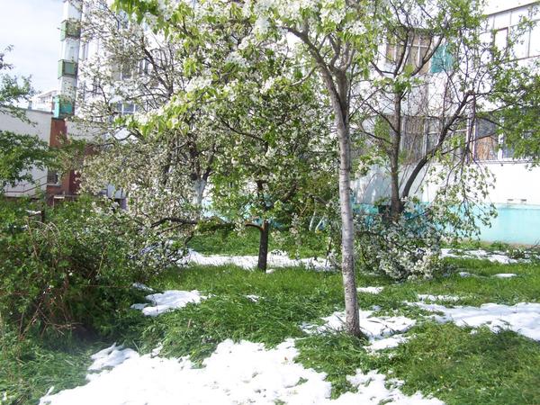 Прогулка по городу после снегопада