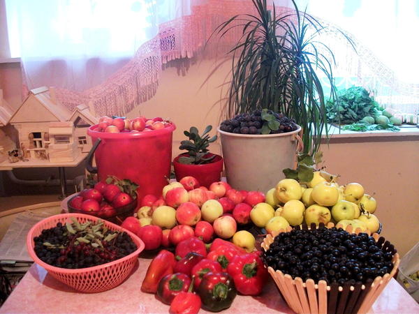 Автор фото - fb_100007720269129