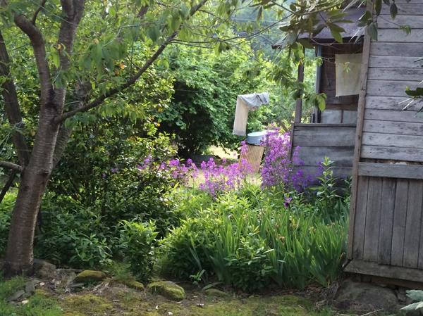 Автор фото - Js1