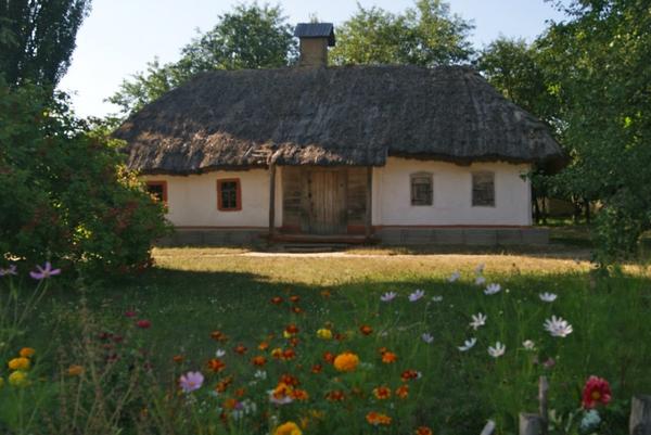 Автор фото - Елена Троицкая (ElenaTroickaya)