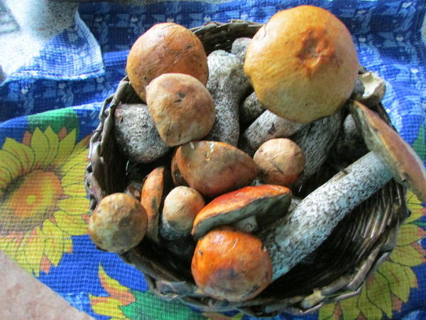 Вот ваше фото. Вы заявили его в тему &amp;quot;Летний урожай&amp;quot;.  А вот теперь читаем описание темы: Летний урожай - здесь выставляются фотографии всего того, что сейчас дарят нам участки &mdash; зелень, кабачки, огурчики и помидоры, морковь и свеклу, ягоды и урожай лекарственных трав. А ваши грибы - не выросли на участке... Поэтому ваше фото и не взято в этап...