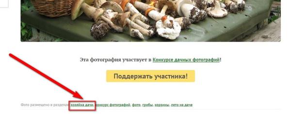 Видите? Это фото направлено в тему &amp;quot;Хозяйка дачи&amp;quot;.