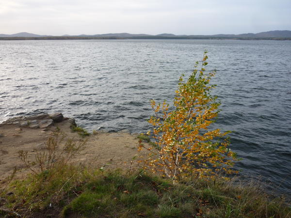 Это - без вопросов